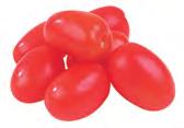 FRESHEST PRODUCE Plum Tomatoes / /