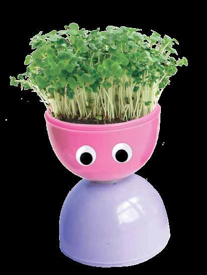 WHAT YOU LL NEED: Plastic eggs Stickers Glue Compost Seeds (we ve used cress) INSTRUCTIONS 1.