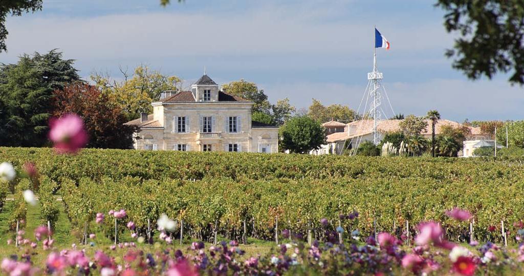 WINES OFFERED BY CHATEAU MONTROSE Sitting at the northern tip of the Médoc is a château that makes unobtrusive wines that can test the patience of any oenophile, but are immensely rewarding when
