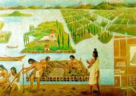 To expand their opportunities to farm, the Aztec built floating gardens called chinampas, where they grew corn, avocadoes, beans, chili peppers, squash and tomatoes.