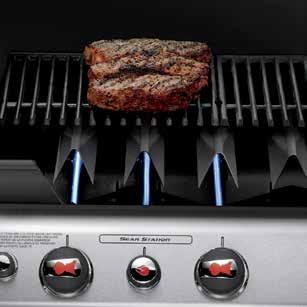It s this unique, revolutionary and patented Flavorizer TM system that distinguishes our barbecues from all the others.
