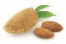 by God. In 100 AD almonds were used as a fertility blessing by the Romans.