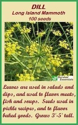 lettuce, peas, radish, sunflowers Incompatible Plants: Aromatic herbs, melon, potatoes Quantity: 100 Seeds Soil Temperature: 60 75 F Seed Planting Depth: ¼ ½ Plant Spacing: 12 to 18 Row Spacing: 18