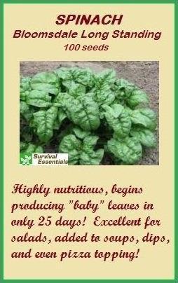 Quantity: 100 Seeds Soil Temperature: 45 75 F Seed Planting Depth: ½ Plant Spacing: 2 to 6 Row Spacing: 12 to 18 Indoor Sowing: Not recommended Direct Sowing: 4-6 weeks before last frost date