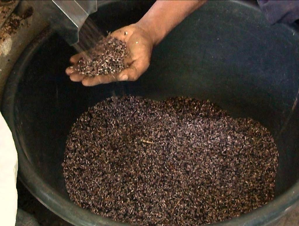 Most of community sell dry coffee cherries without grinding at a price of about Euro 0.60/kg. One kilogram of coffee cherries yields about 0.7 kg of ground coffee.