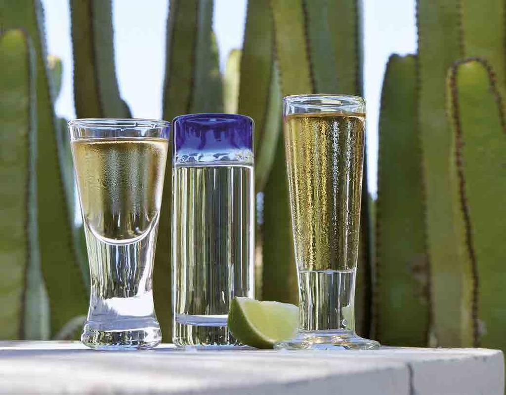 Mexican saying Mezcal and tequila share a similar relationship to whiskey and bourbon or brandy and cognac: the second is a variety of the first. Both mezcal and tequila are made from agave plants.