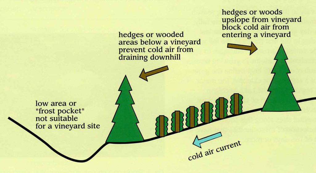 Cold Air Sinks and Flows Downhill Very