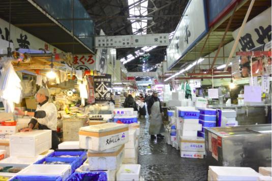 Inner Fish Market (Tsukiji fish market) One