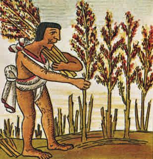 The kind of education a child received depended on the family s social class. The highest class in Aztec society was the nobility, called the pipiltin.