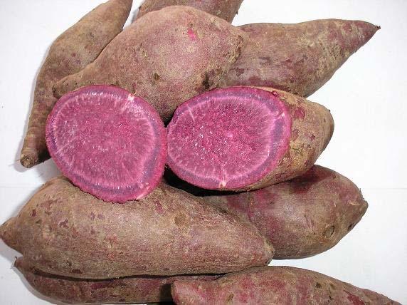 potatoes Red