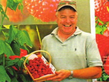 raspberries primocane Advanced Berry Breeding Advanced Berry Breeding is a Dutch based breeding company set up by Geert de Weert and André Smaal focused entirely on the breeding of primocane
