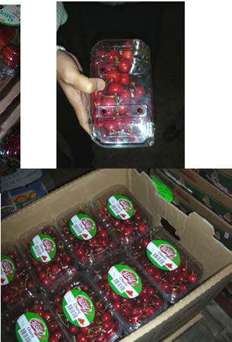 Center Singapore May 16, 2008 Strawberries from Oxnard; Cherries from Lodi Air-shipped stage Weight, Firmness, Soluble