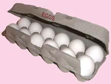 Large, medium or smalll Grade A or AA white eggs gs Monterey Jack Mozzarella (whole, part skim)