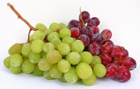 A PROFILE OF THE SOUTH AFRICAN TABLE GRAPES