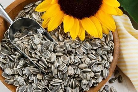 I think pumpkin seeds are the ideal snack: rich in fiber, low in calories and full of nutrients. Although, pumpkin seeds can be eaten raw, they are tastier when roasted (with or without salt added).