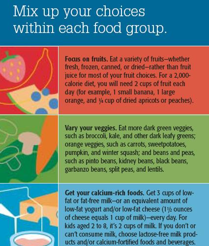Grasping Nutrition Concepts Key Food Group Messages from the Dietary Guidelines and MyPyramid: Each of the food groups in MyPyramid provides important nutrients.