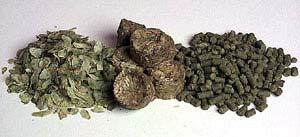 Hops Impart color rich in tannins Flavor and aroma