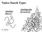 Starch Starch is the major carbohydrate reserve in plant