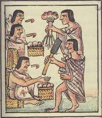 Society was organized in to units called Calpolli: Merchants: Richest Calpolli in Tenochtitlan.