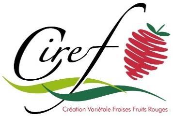 Ciref Address: Maison Jeannette 24140 Douville FRANCE Ciref (ciref-agriculture.fr/en) is a strawberry breeding association for the French growers founded in 1978.