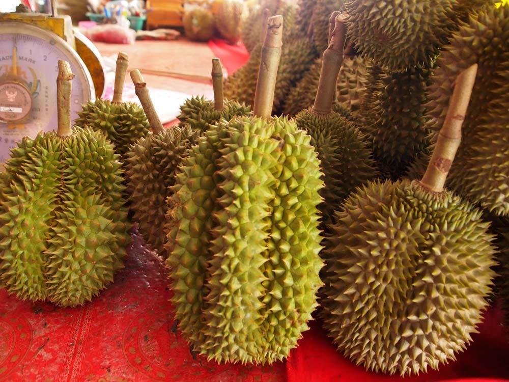 Introduction Introducing Thailand and its Durian When To Go Where To Go Introducing Thailand and its Durian There's something for everyone in Thailand.