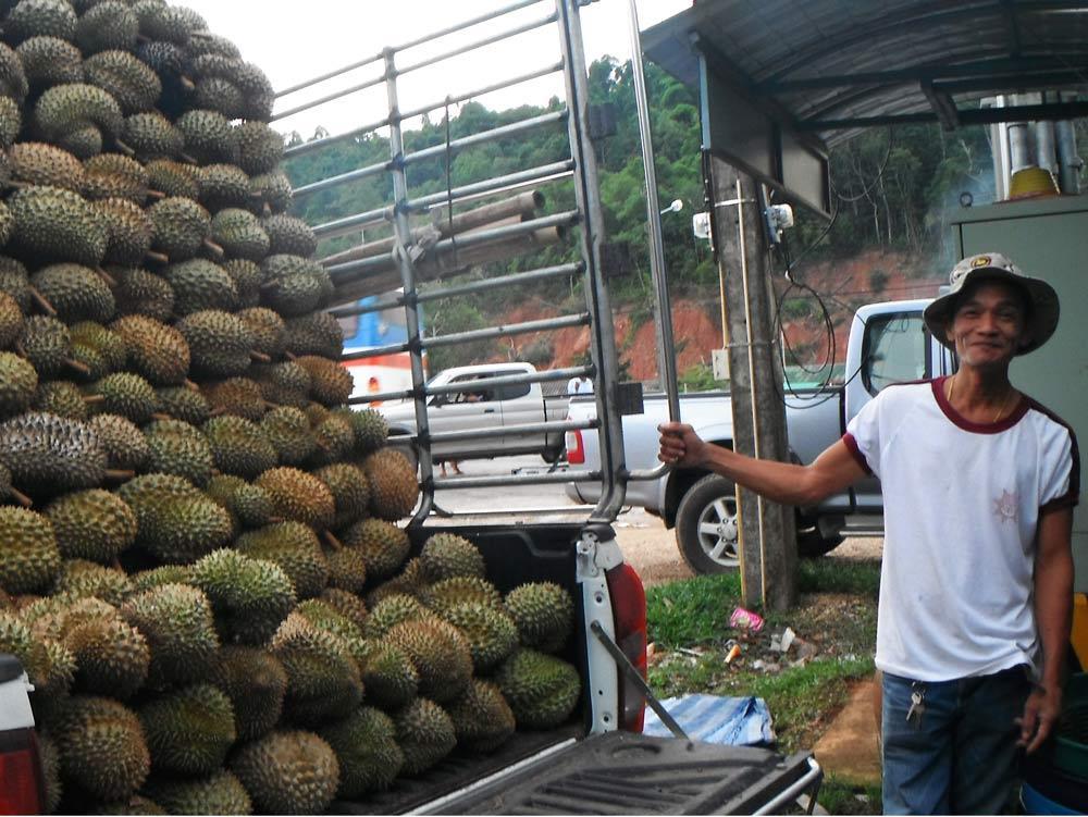 with durians are a common sight on any national highway. During the season the fruit is truly unavoidable.