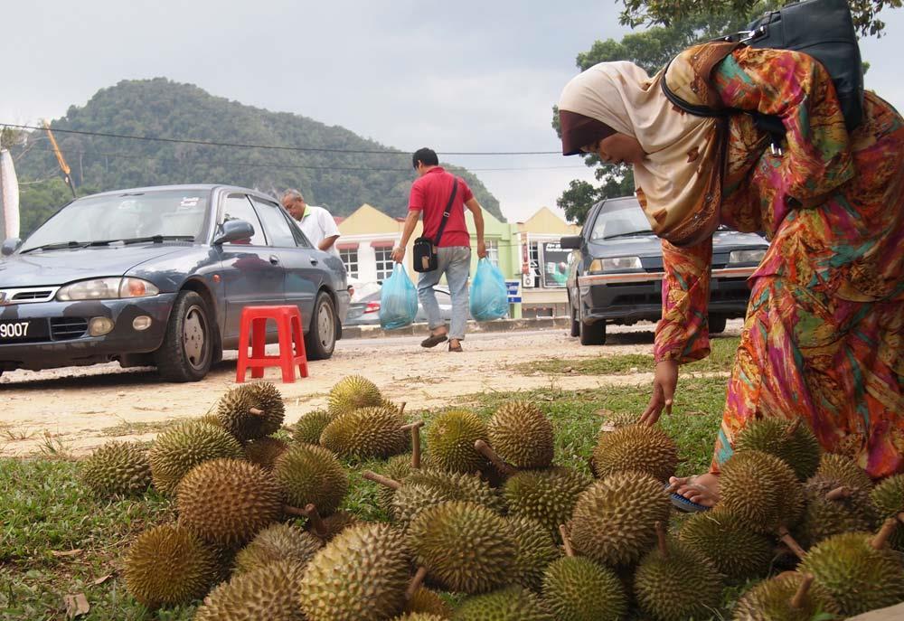 YALA AND NARATHIWAT Yala Production: 16,220 tonnes per year Narathiwat Production: 6,040 tonnes per year In many ways these two southernmost provinces have more in common with bordering Malaysia than
