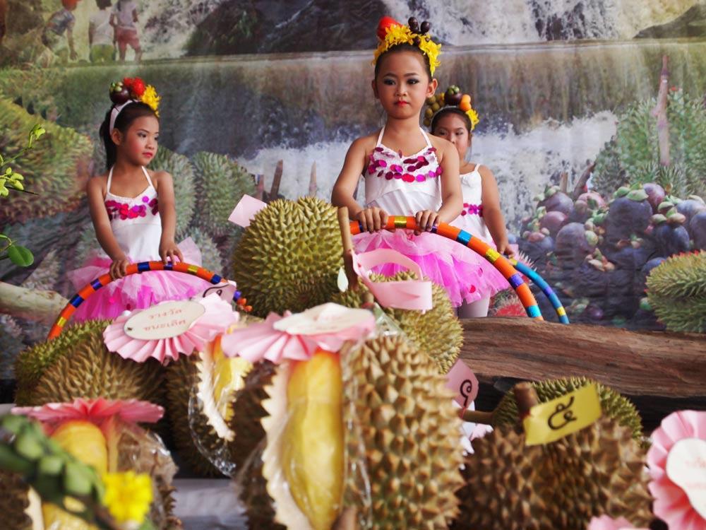 Durian Festivals The Thailand Tourism Authority organizes multiple durian festivals and general fruit festivals every year.