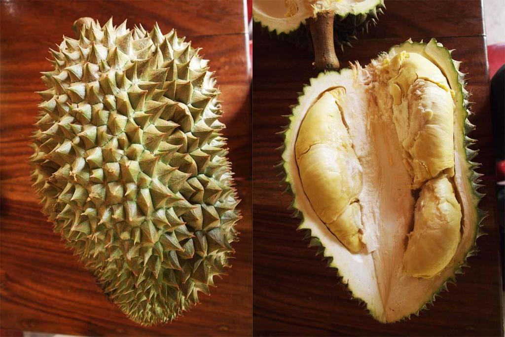 Monthong (Mon Thong, Mornthong) About: Monthong is the most common durian variety in Thailand and the only durian currently being commercially exported. Translation: Golden Pillow.