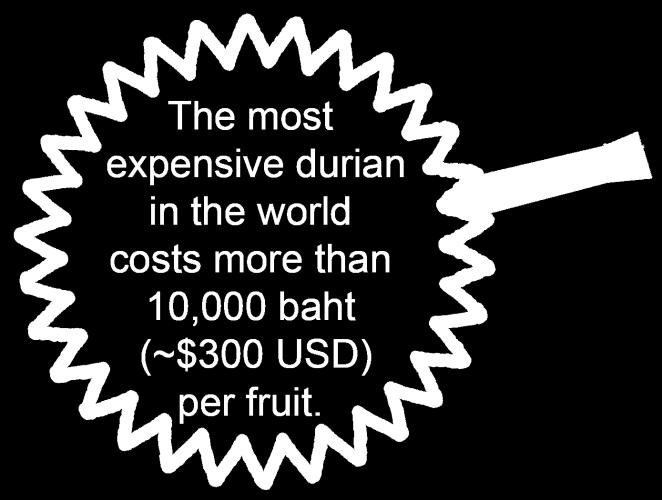 The high-end prices are more typical of places like Bangkok, Phuket and the islands. How much your trip ultimately costs is up to you and your travel style. A 2-kg Monthong durian: 100 300 baht ($3 9.