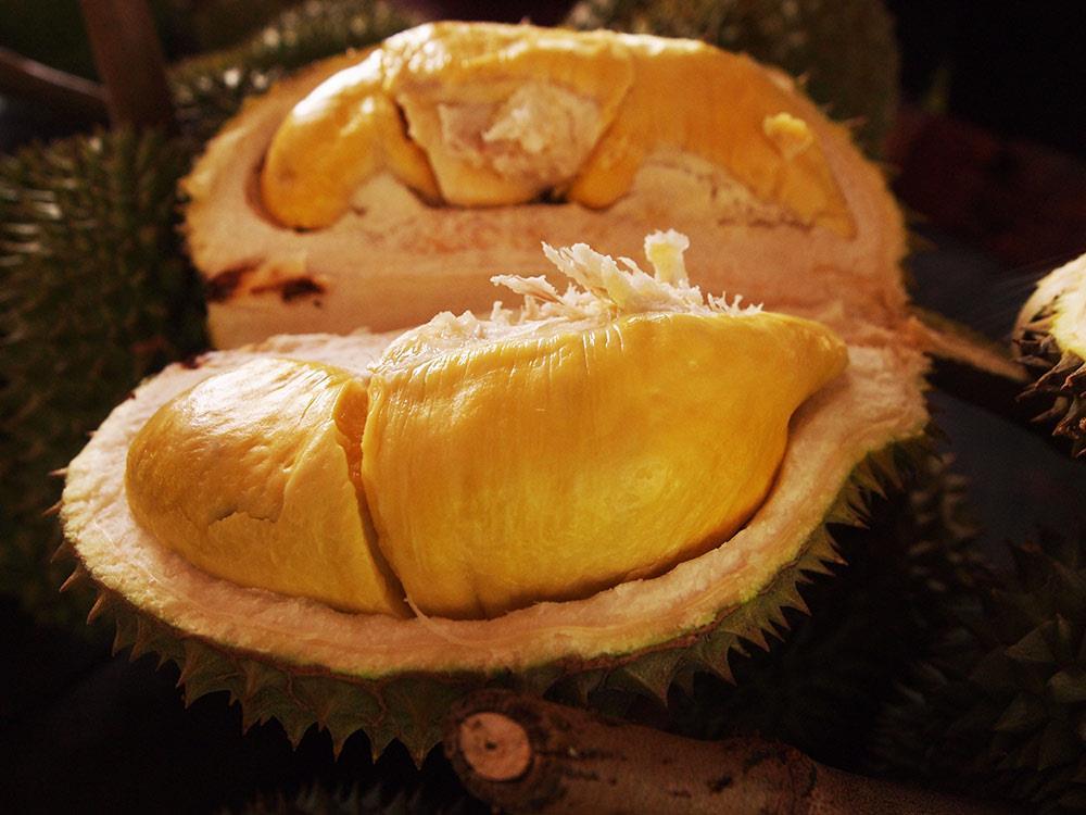 Start Here To eat Durians is a new sensation worth a voyage to the East to experience.