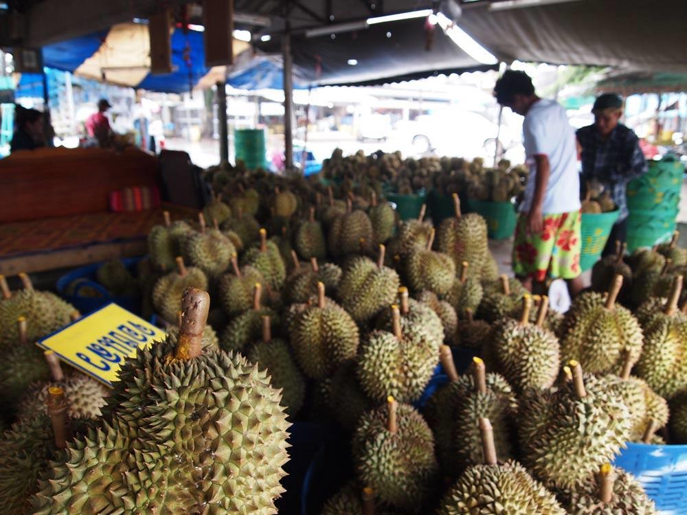 The East Between the turquoise waters of the Gulf of Thailand and the Cardamom Mountains along the border of Cambodia, is Thailand's durian breadbasket.