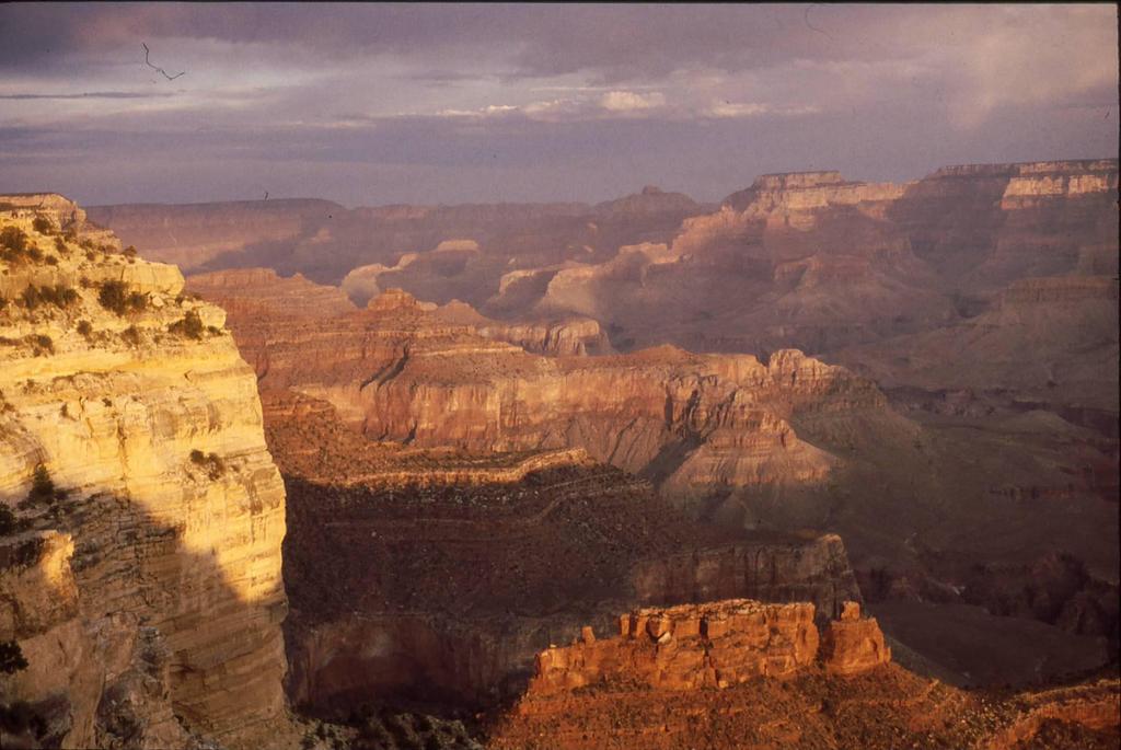 Another scouting party was the first Europeans to see the magnificent Grand Canyon.