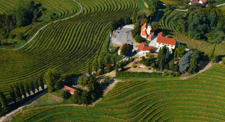Austria Hungary Italy Slovenia The Jeruzalem-Ormož region Croatia FACTS Winemaking has been a Puklavec family tradition since 1934 Puklavec Family Wines is caretaker of 1,100 hectares of vines More