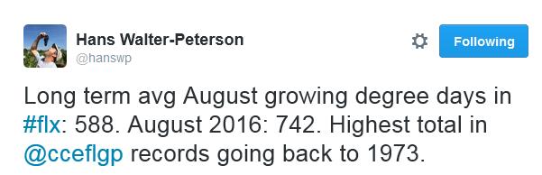 Heat in August was such that Hans Walter-Peterson reported this in a midweek twitter feed: With all the heat, acids dropped, and soluble solids accumulated (no surprise there).