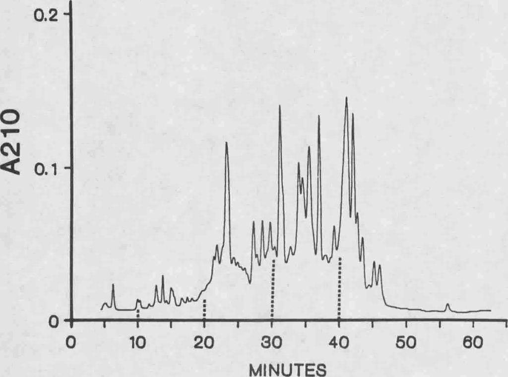 The gliadin peaks eluted at different time depending on surface hydrophobicity. Similar resolutions and gliadin distributions were reported by Bietz (1983) and Burnouf and Bietz (1987).