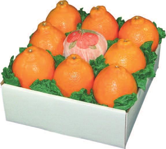 GRAND HONEYBELLS A V A I L A B L E J A N U A R Y O N LY We have hand-selected these fabulous Grand Honeybells for their excellence.