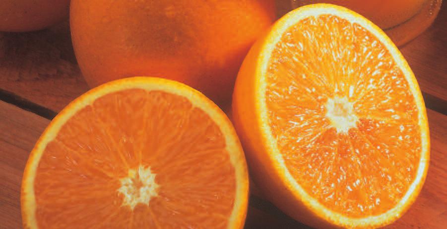 TEMPLES AVAILABLE FEBRUARY THRU MARCH Thin-skinned and easy to peel. Add Ruby Red Grapefruit and you have a dynamic citrus combo! Guaranteed to be harvest-fresh.