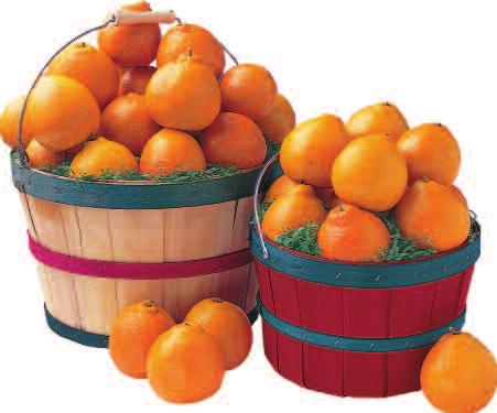 3RV-E 3 fruit trays $57 95 ITEM 4V-F or ITEM 4RV-F 4 fruit trays $67 95 GROVE BASKETS AVAILABLE NOVEMBER THRU APRIL Reminiscent of days gone by, these Old Fashioned Grove Baskets are filled with the