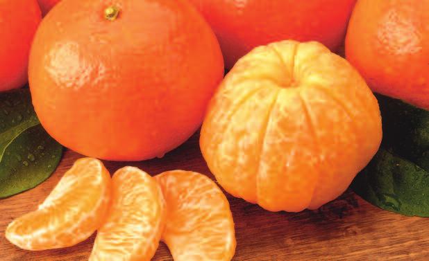 Page Oranges or Page Oranges & Ruby Red Grapefruit ITEM 1PT-B 1 fruit tray (oranges only) $36 95 ITEM 2PT-D or ITEM 2PTR-D 2 fruit trays $49 95 ITEM 3PT-E or ITEM 3PTR-E 3 fruit trays $59 95 ITEM