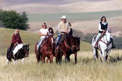Trail Ride for 2 at Work Family Ranch Provided by