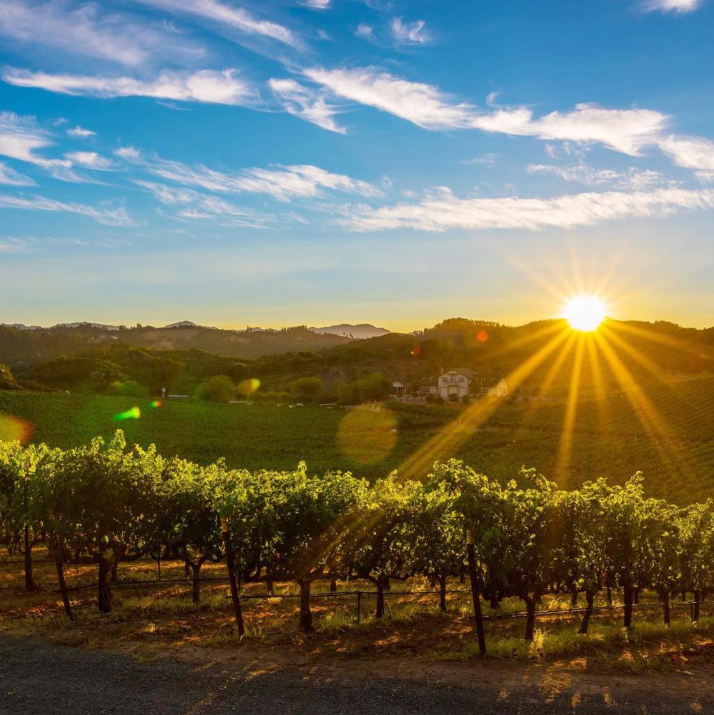 SONOMA Off the Beaten Path The Cooper s Hawk Wine Club is heading to California s Sonoma Valley to explore specially selected wineries and experience an entirely new adventure.