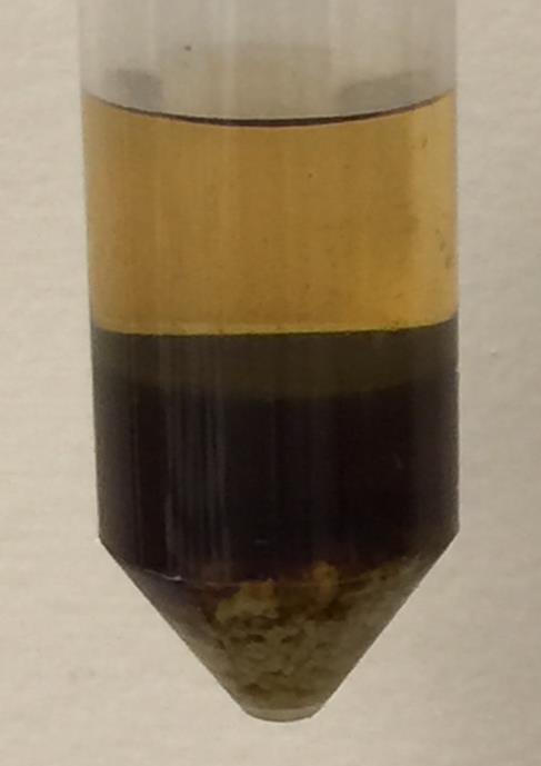 QuEChERS Procedure: Sample Extraction: 1. Add 10 ml brewed coffee (ph adjusted to about 8 with 1 N NaOH) and 10 ml acetonitrile (MeCN) to a 50-mL centrifuge tube. 2.