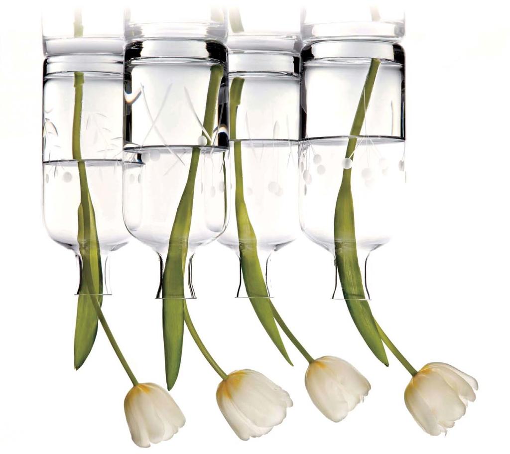 FLORA bottle vase These traditional vases give a distinctively new look to fresh cut flowers.