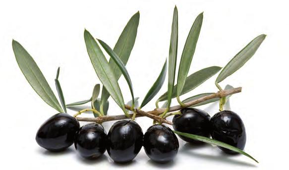 Black Queen Olives