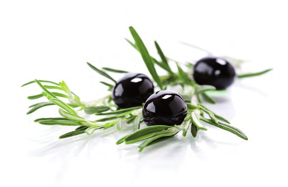 Olive Line International is one of the leading Spanish exporters and manufacturers of olive oils and table olives.
