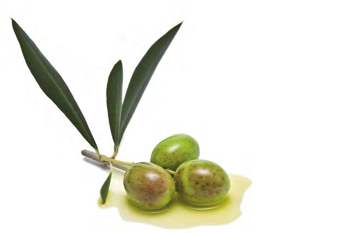 We have one of the largest ranges in the market of olive oils and table olives represented by four different