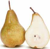 80/kg Bosc Pears Extra