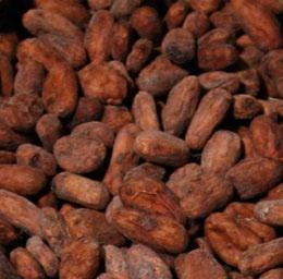7. Godīgās tirdzniecības produkti Kakao: kakao pupiņas, kakao masa, kakao sviests, kakao