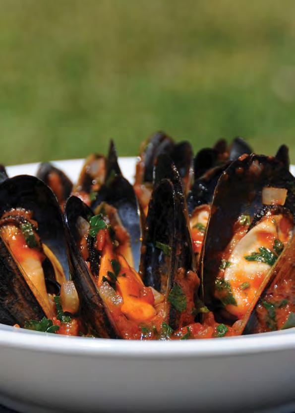 Mussels with Tomato and White